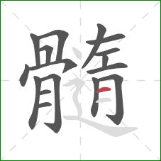 髓的笔顺第17画：横