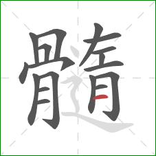 髓的笔顺第18画：横
