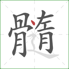 髓的笔顺第19画：点
