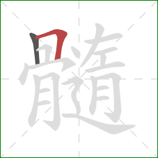 髓的笔顺第2画：横折