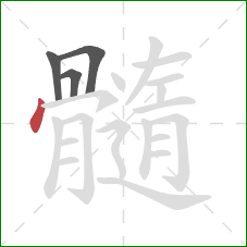 髓的笔顺第4画：点
