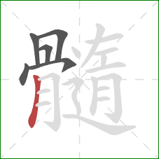 髓的笔顺第6画：竖