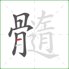 髓的笔顺第8画：横