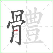 體的笔顺第9画：横