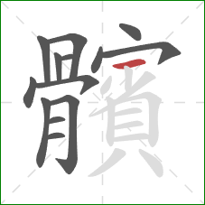 髕的笔顺第14画：竖
