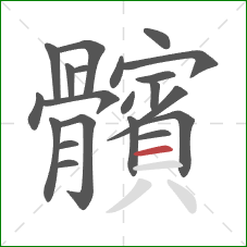 髕的笔顺第21画：横