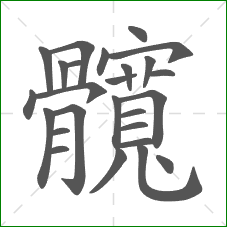 髖的笔顺 髖的笔顺
