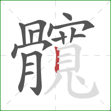 髖的笔顺第18画:横 髖的笔顺第18画:横