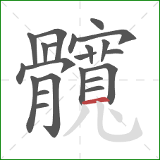 髖的笔顺第22画:竖弯钩 髖的笔顺第22画:竖弯钩