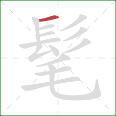 髦的笔顺第1画：横