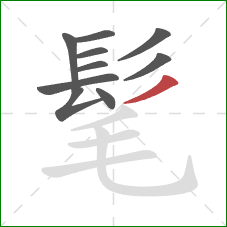 髦的笔顺第10画：撇