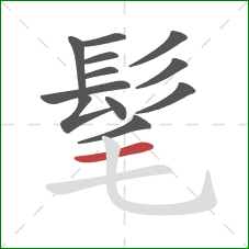 髦的笔顺第12画：横