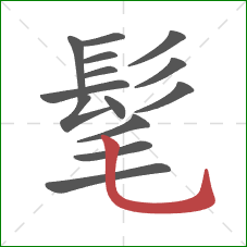 髦的笔顺第14画：竖弯钩