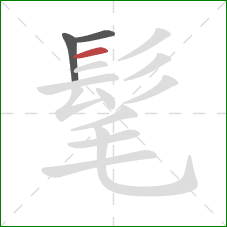 髦的笔顺第3画：横