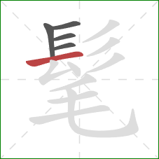 髦的笔顺第5画：横