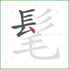 髦的笔顺第7画：点