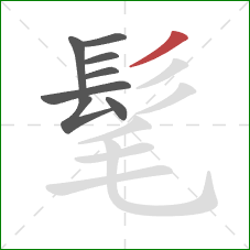 髦的笔顺第8画：撇