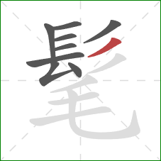 髦的笔顺第9画：撇