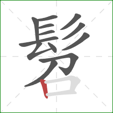 髫的笔顺第13画：竖