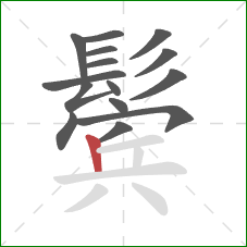 鬓的笔顺第15画：竖