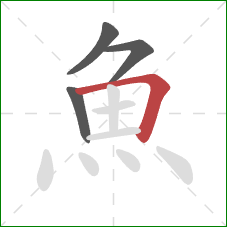 魚的笔顺第4画：横折