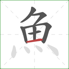 魚的笔顺第7画：横
