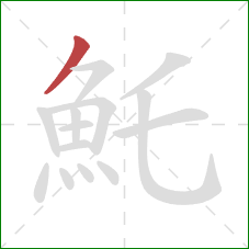 魠的笔顺第1画：撇