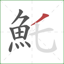 魠的笔顺第12画：撇