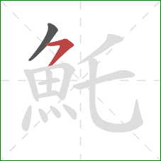 魠的笔顺第2画：横撇