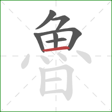 魯的笔顺第7画：横