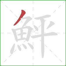鮃的笔顺第1画：撇