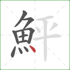 鮃的笔顺第11画：点