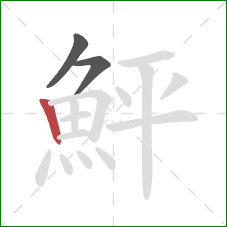 鮃的笔顺第3画：竖