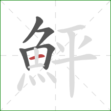 鮃的笔顺第5画：横