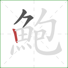 鮑的笔顺第3画：竖