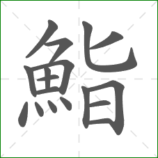 鮨的笔顺