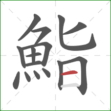 鮨的笔顺第16画：横