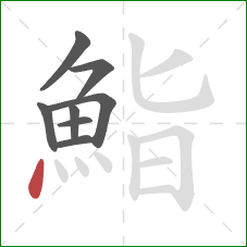 鮨的笔顺第8画：点