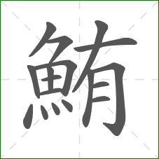 鮪的笔顺
