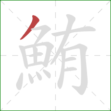 鮪的笔顺第1画：撇