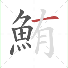 鮪的笔顺第12画：横