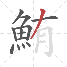 鮪的笔顺第13画：撇