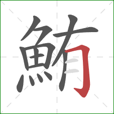 鮪的笔顺第15画：横折钩