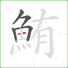 鮪的笔顺第5画：横