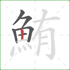鮪的笔顺第6画：竖