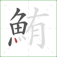 鮪的笔顺第9画：点