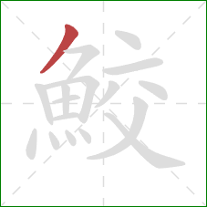 鮫的笔顺第1画：撇