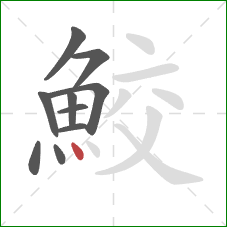 鮫的笔顺第10画：点