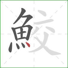 鮫的笔顺第11画：点