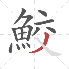 鮫的笔顺第16画：撇